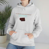 I'm A Shameless Chocoholic Hooded Sweatshirt